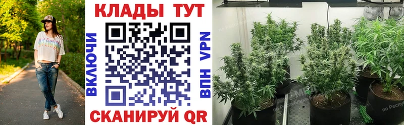 Где купить наркотики Нолинск КОКАИН  СОЛЬ  Канабис  Меф мяу мяу 