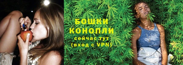 мяу мяу мука Волоколамск