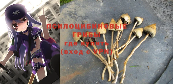 альфа пвп Няндома