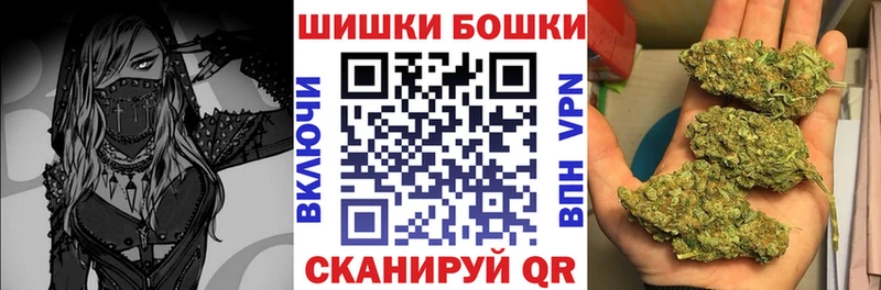 купить наркотики цена  Нолинск  Каннабис конопля 